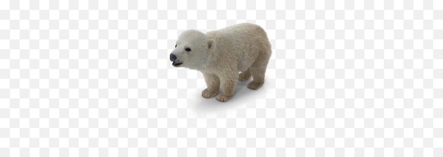Polar Png And Vectors For Free Download - Polar Bear Cub Png Emoji,Polar Bear Emoji