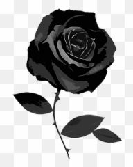 Gothic Rose Clipart - Black Rose White Background Emoji,Goth Emoji