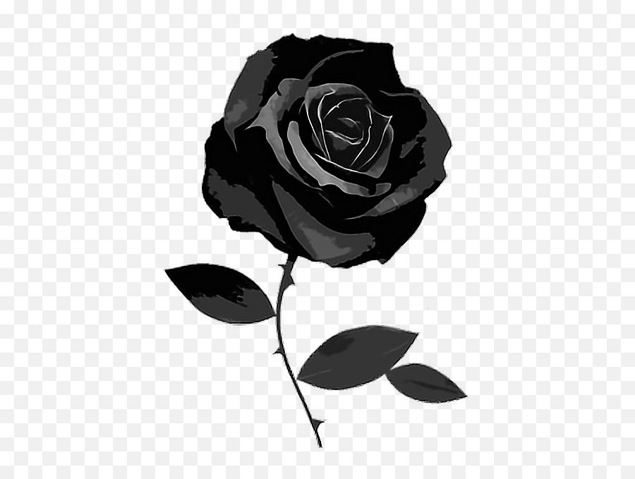Gothic Rose Clipart - Black Rose White Background Emoji,Goth Emoji