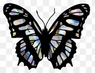 Popular And Trending Dream Gifs On Picsart - Malachite Butterfly Emoji,Dreaming Emoji