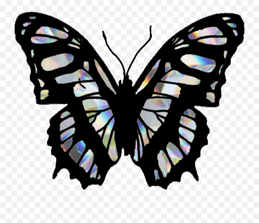 Popular And Trending Dream Gifs On Picsart - Malachite Butterfly Emoji,Dreaming Emoji