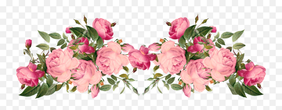 Download Free Png Pink Rose Borders Free Pink Roses Border - Transparent Pink Floral Border Emoji,Pink Rose Emoji