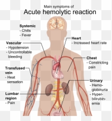Main Symptoms Of Acute Hemolytic Reaction - Effect Of Hypothyroidism Emoji,Shoulder Shrug Emoji