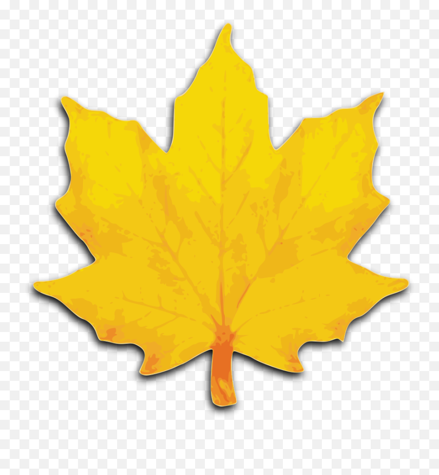 Leaf Fall Leaves Clipart Free Clipart Images - Orange Maple Leaf Clipart Emoji,Maple Leaf Emoji