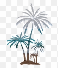 Palmtree Beach Beautiful Panorama Coconut Palm Tree Fun - Attalea Speciosa Emoji,Palm Tree Emoji