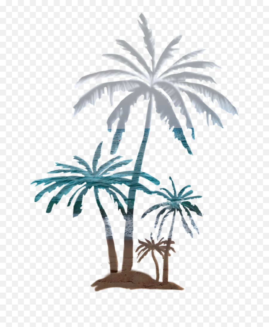 Palmtree Beach Beautiful Panorama Coconut Palm Tree Fun - Attalea Speciosa Emoji,Palm Tree Emoji