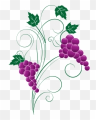 Png Transparent Free Images Only Image - Clipart Grape Transparent Png Emoji,Grape Emoji