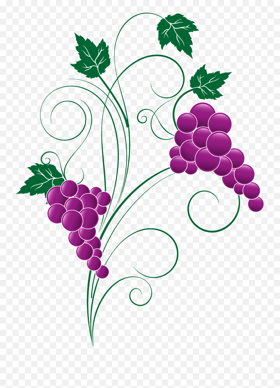 Png Transparent Free Images Only Image - Clipart Grape Transparent Png Emoji,Grape Emoji