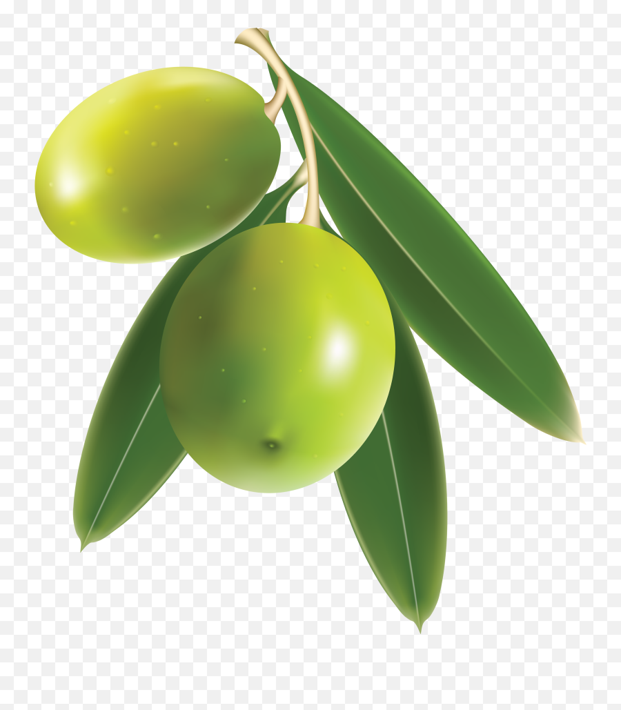279668 Png Free Clipart - Olive Png Emoji,Olive Emoji