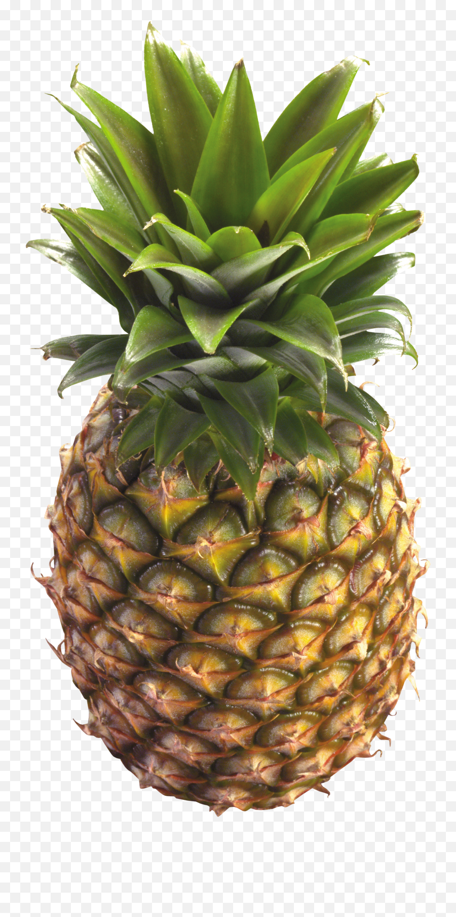 Pineapple Png Images Free Pictures Download - Pineapple Blank Background Emoji,Pinapple Emoji