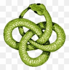Mq Green Snake Snakes Reptile - Ouroboros Knot Tattoo Emoji,Snake Emoji Png