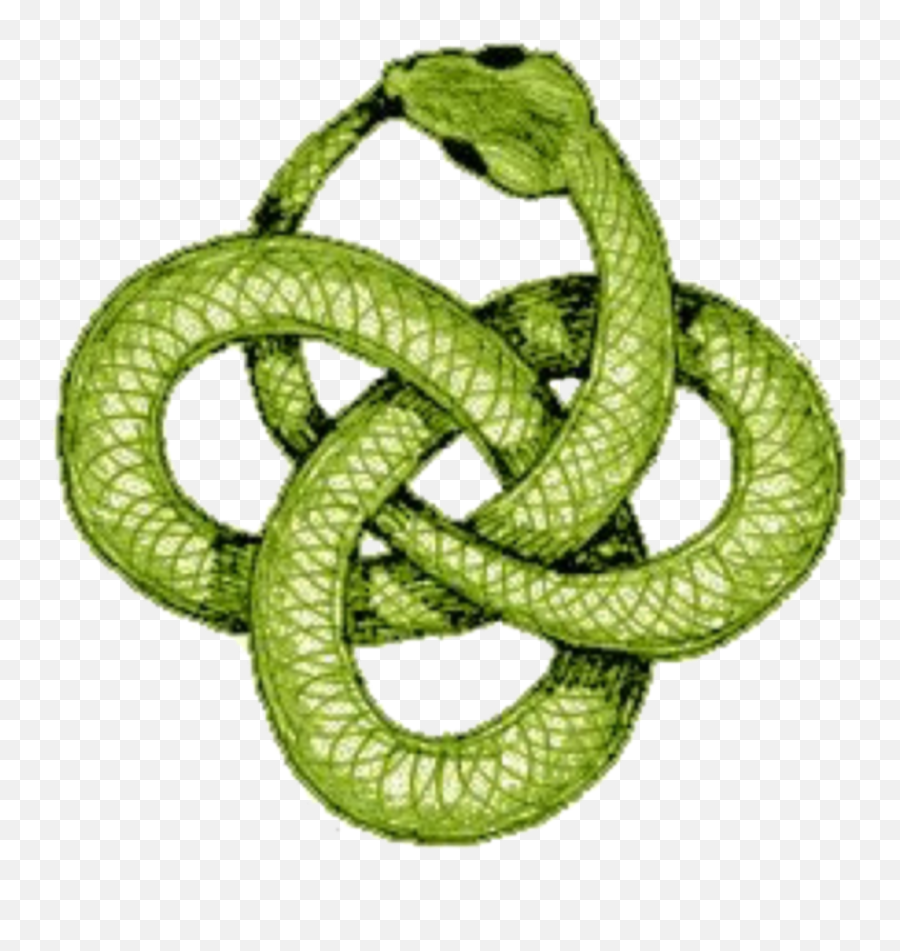 Mq Green Snake Snakes Reptile - Ouroboros Knot Tattoo Emoji,Snake Emoji Png