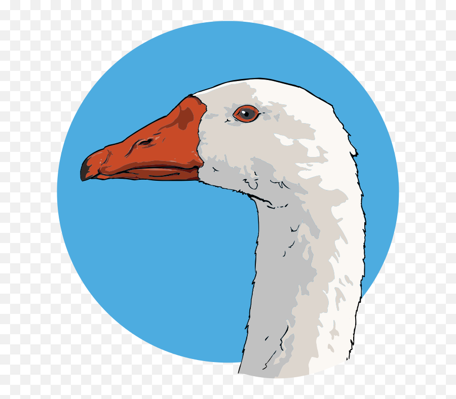 Goose Closeup 03 - Goose Art Emoji,Anaheim Ducks Emoji