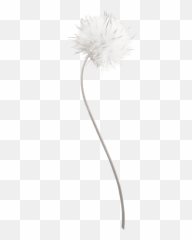 Freetoedit Flower Blume Pusteblume Dandelion - Dandelion Emoji,Dandelion Emoji