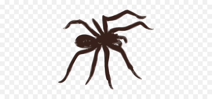 Gtsport Decal Search Engine - Png Spider Animation Emoji,Spider Emoji