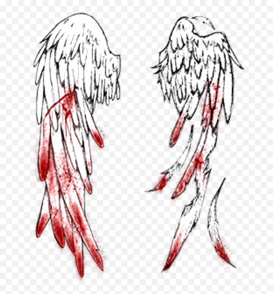 Broken angel wings drawing