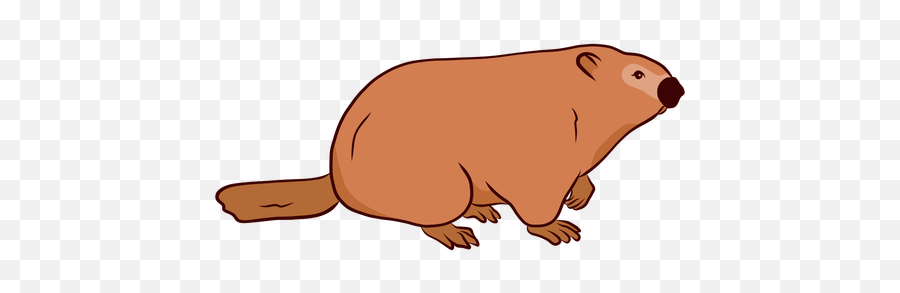 Groundhog Icon At Getdrawings - Punxsutawney Phil Emoji,Groundhog Emoji