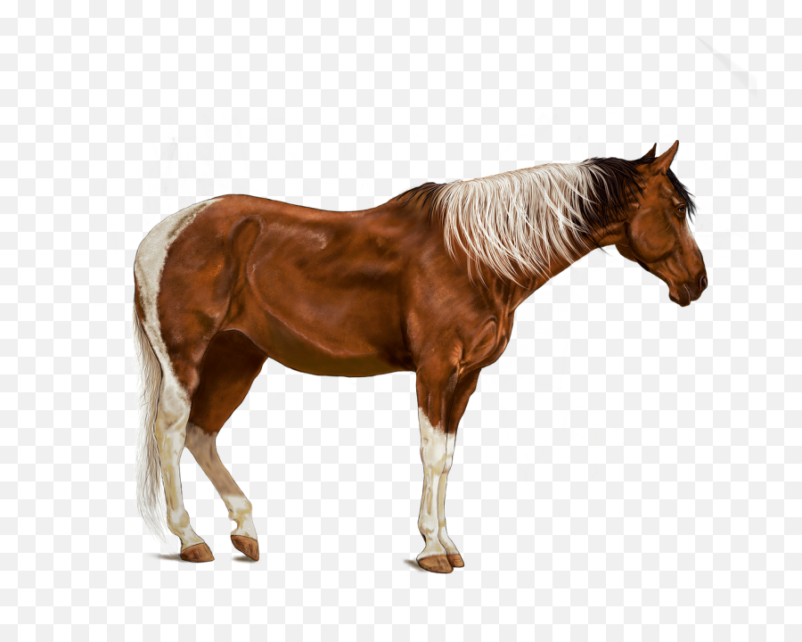 Horse Brown Art Digital Artwork Emoji,Hand Horse Horse Emoji