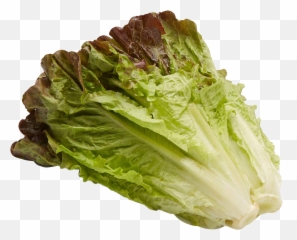 Lettuce Freetoedit - Iceburg Lettuce Emoji,Lettuce Emoji