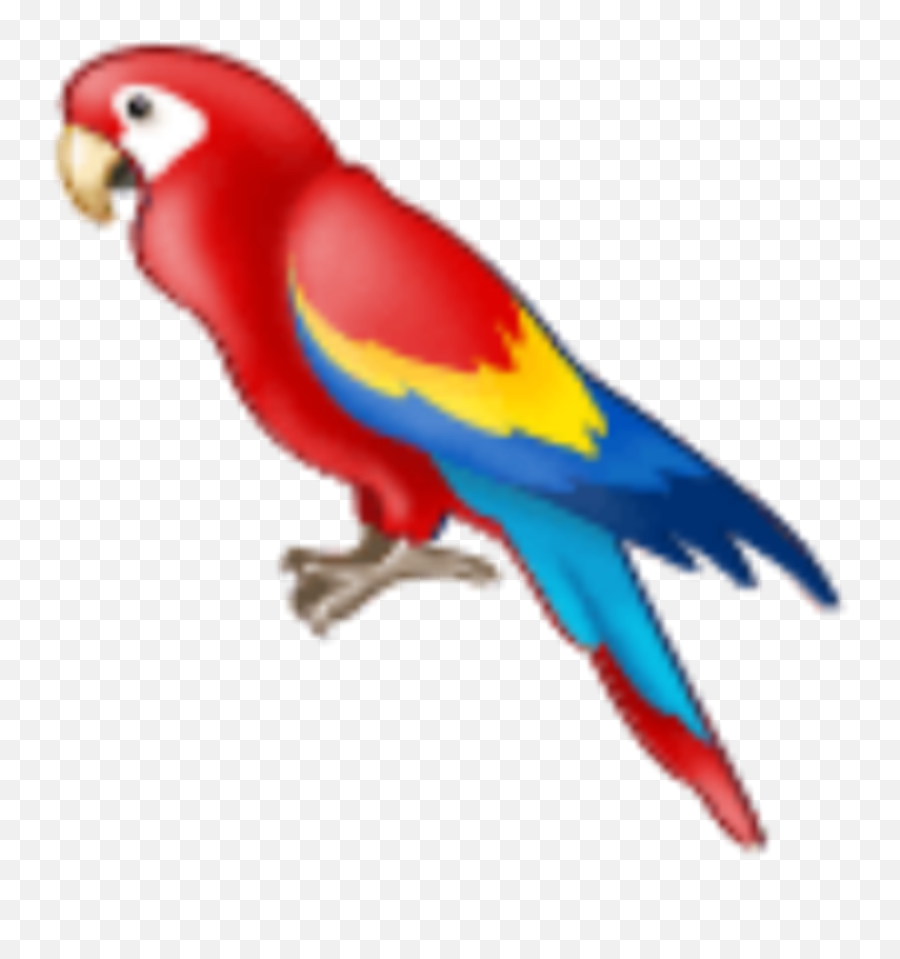 Parrot Bird - Emoji Perroquet,Parrot Emoji