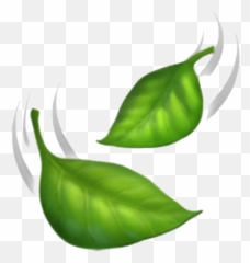 Leaves Emoji Clipart - Iphone