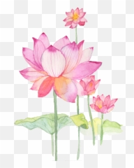 Flower Lotus Chinese - Buddhism Emoji,Lotus Emoji