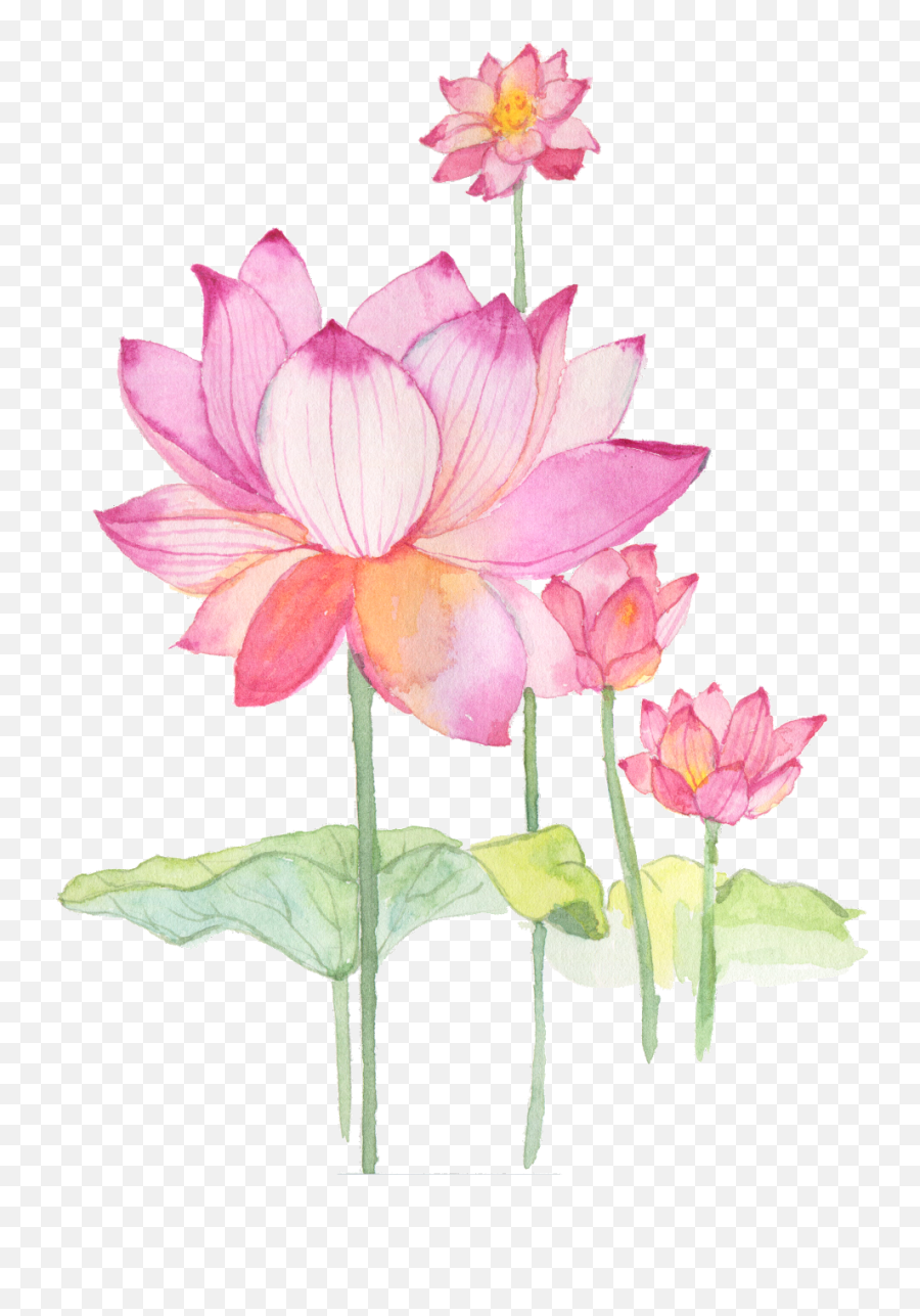 Flower Lotus Chinese - Buddhism Emoji,Lotus Emoji