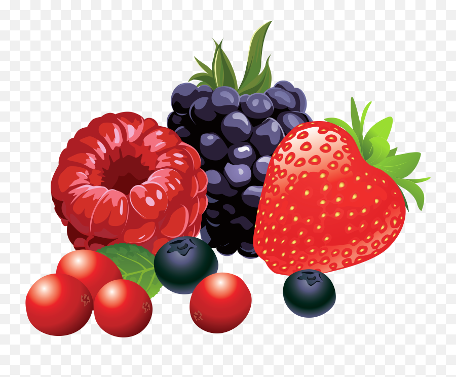 Berry Fruit Clip Art - Forest Fruits Png Vector Clipart Berries Clipart Emoji,Berry Emoji