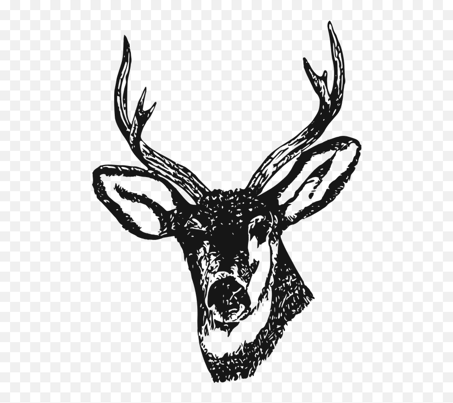 Drawing Deer Henna Clip Art - Deer Head Clip Art Emoji,Buck Deer Emoji