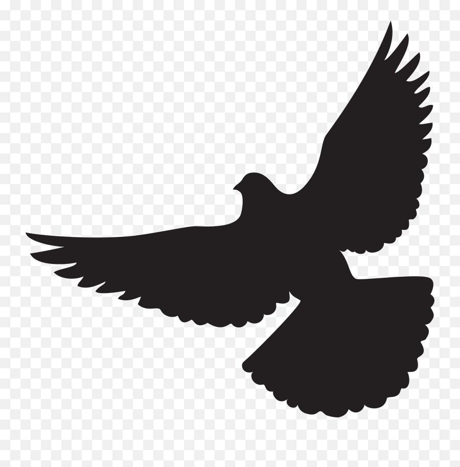 Columbidae Png U0026 Free Columbidaepng Transparent Images Emoji,Dove Emoji