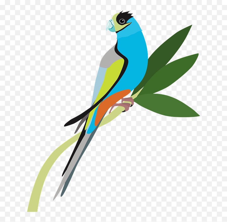 Parrot Clipart - Parrots Emoji,Parrot Emoji