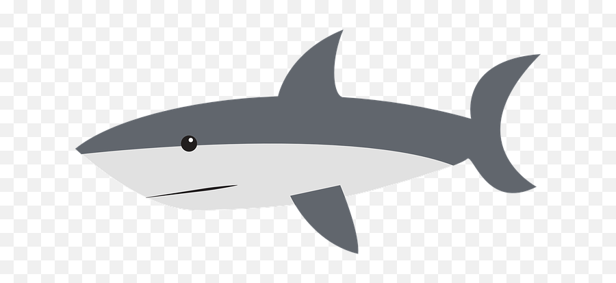 Free Shark Fish Illustrations - Transparent Cartoon Shark Png Emoji,Shark Fin Emoji