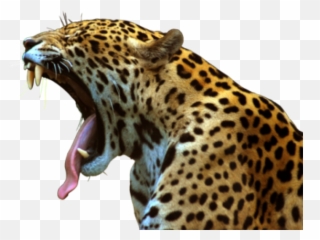Freetoedit Animal Jaguar - Cute South America Animals Emoji,Jaguar Emoji