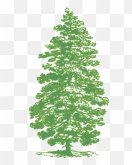 Pine Tree Green - Ink Drawing Of Pine Tree Emoji,Pine Tree Emoji