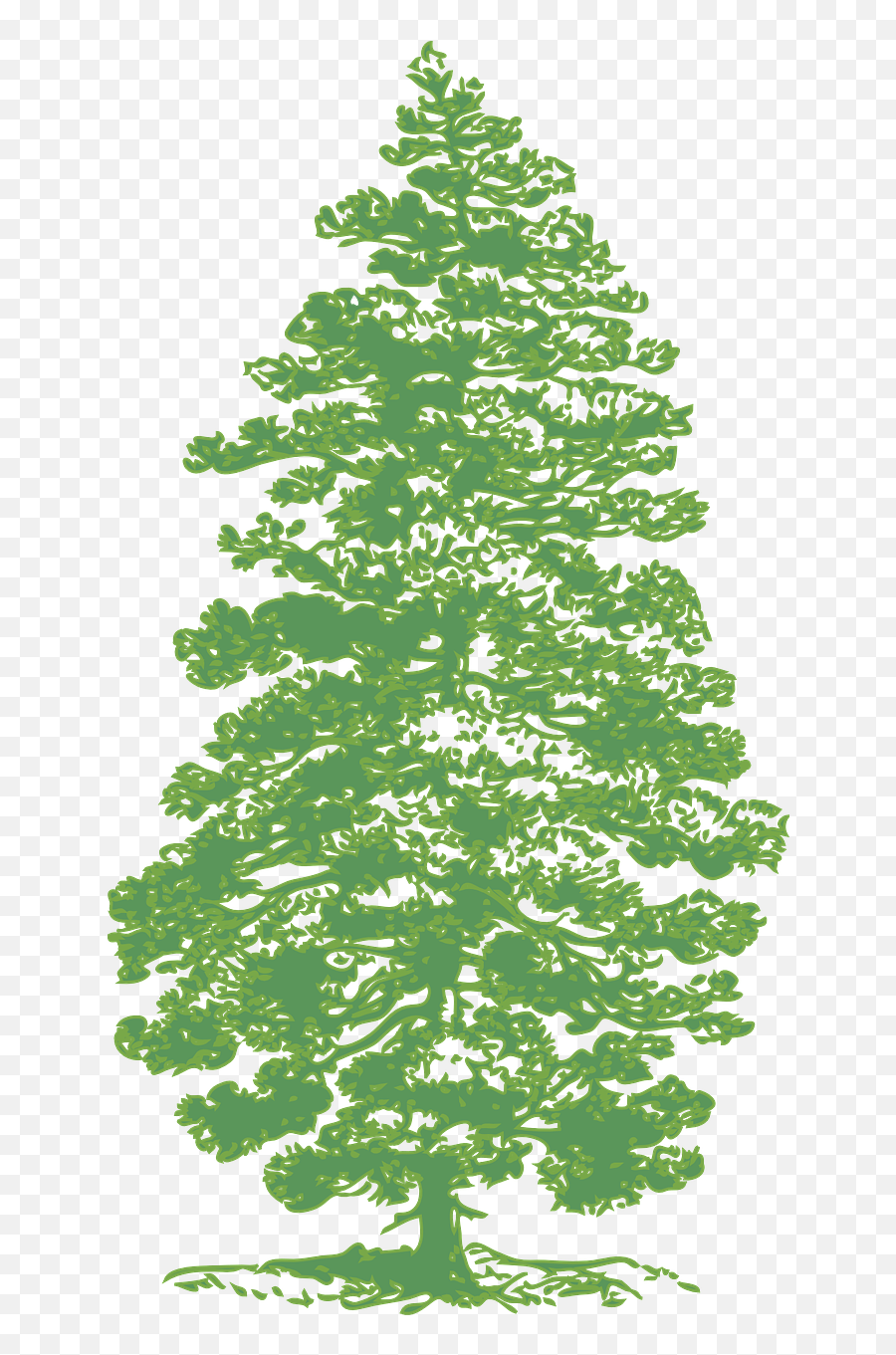 Pine Tree Green - Ink Drawing Of Pine Tree Emoji,Pine Tree Emoji