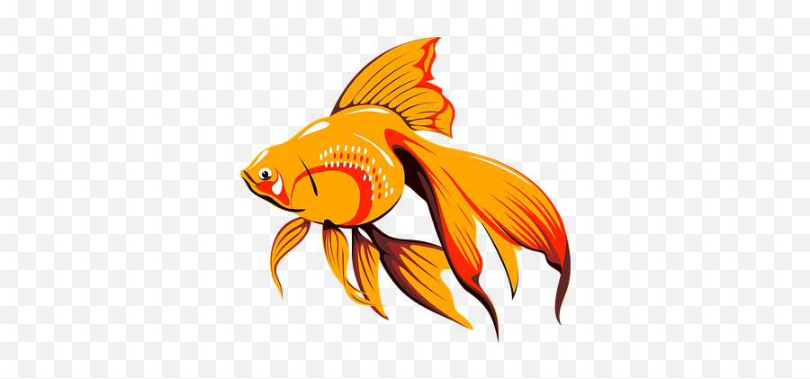 Marine Fish Goldfish Sea Fish - Cartoon Fish Gif Png Emoji,Goldfish Emoji
