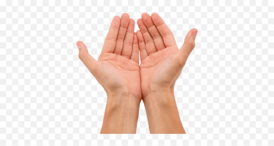 Free Png Images - Dlpngcom Open Hand Png Emoji,Roast Hand Emoji