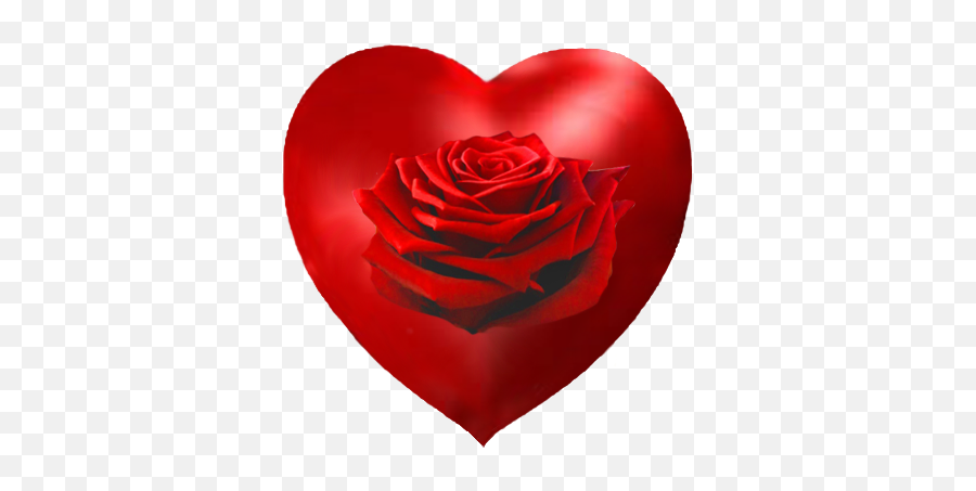 Valentines Day Hearts Valentine Graphics - Garden Roses Emoji,Red Heart Emoticon
