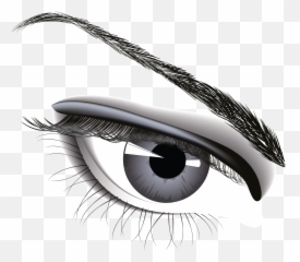 One Eye Png u0026 Free Eyepng Transparent Images 21684 - PNGio Realistic Eyes Emoji