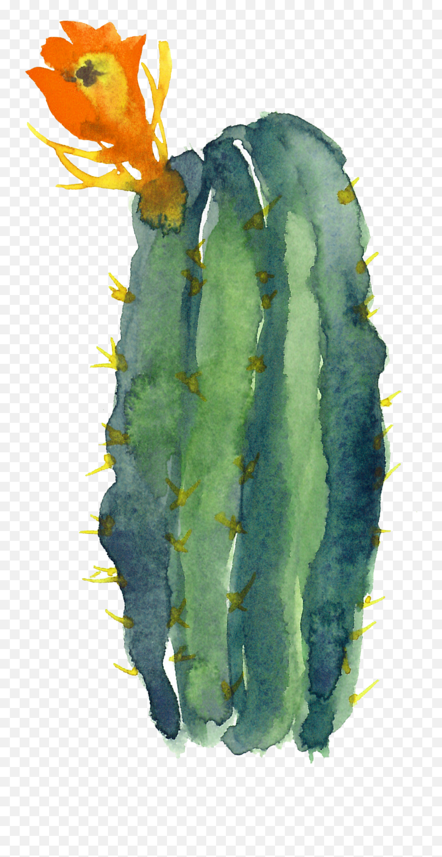 Watercolor Paint - Transparent Cactus Watercolor Png Emoji,Cactus Emoji