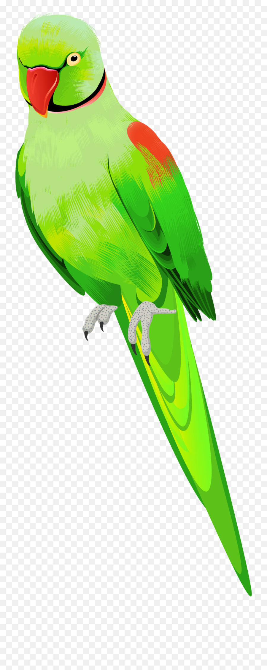 Ftestickers Bird Parrot Green Sticker - Parrot Png Picsart Green Emoji,Parrot Emoji