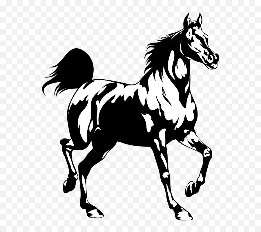 Horse Racing Animal - Kon Emoji,Night Horse Emoji