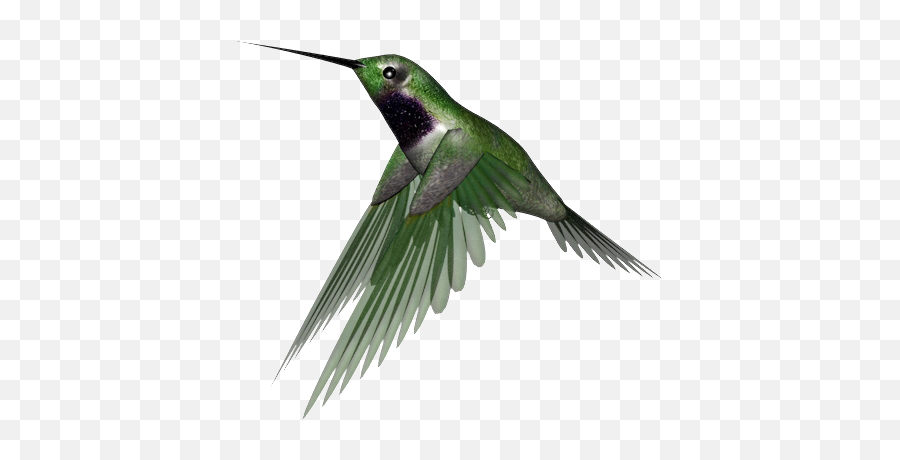Hummingbird Png Images Free Download - Transparent Background Humming Bird Flying Gif Emoji,Hummingbird Emoji