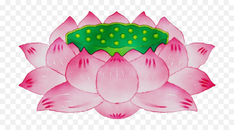 Pink Lotus Png Hd Image Emoji,Lotus Flower Emoji