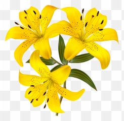 Bell Flower Picture Download Png Files - Yellow Lily Clipart Emoji,Lily Flower Emoji