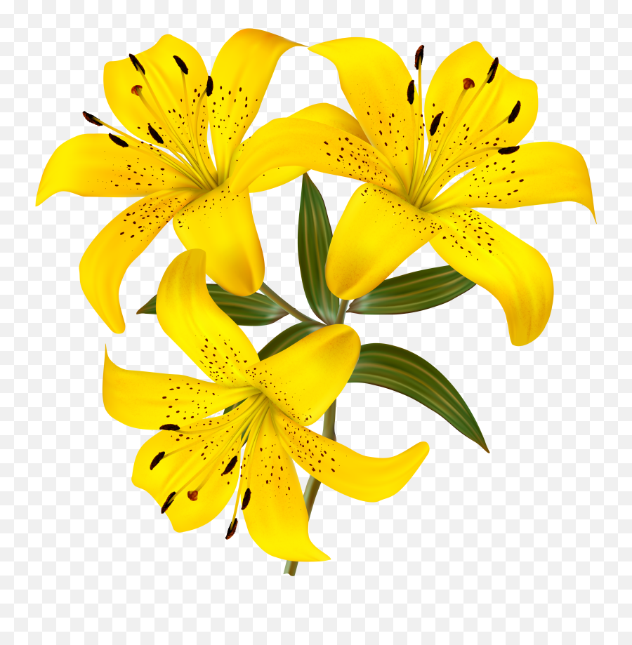 Bell Flower Picture Download Png Files Yellow Lily Clipart Emoji Lily Flower Emoji Free Transparent Emoji Emojipng Com