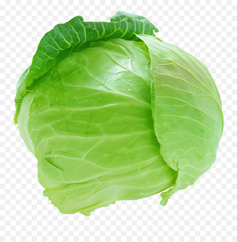 Lettuce Clipart Happy Lettuce Happy Transparent Free For - Cabbage Png Emoji,Lettuce Emoji