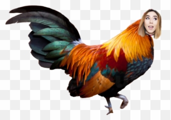 Rebekah Chicken Wing - Sticker By Selen Beautiful Rooster Emoji,Chicken Wing Emoji