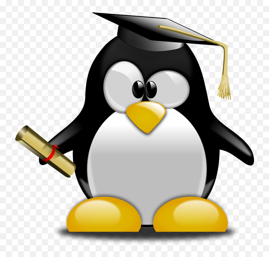601 Best Tux Penguins Images Penguins Cartoon People - Penguin Graduate Clipart Emoji,Lemmy Emoji