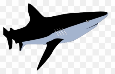 Gtsport Decal Search Engine - Great White Shark Emoji,Terd Emoji
